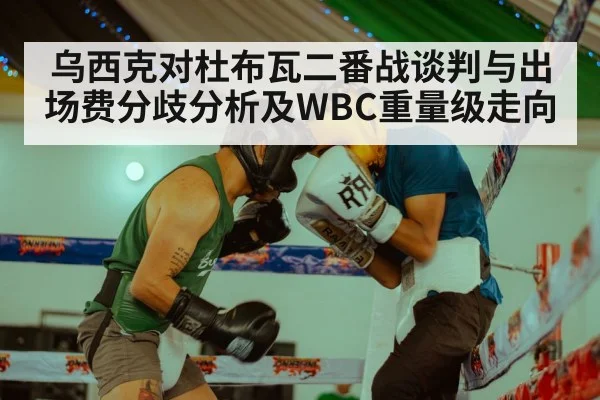 乌西克对杜布瓦二番战谈判与出场费分歧分析及WBC重量级走向